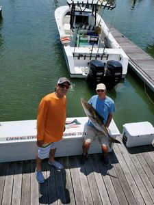 Cobia, a big 20-inch fish, caught while fishing in Cape Charles