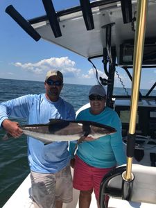 Cobia fish caught by two fishermen in Cape Charles