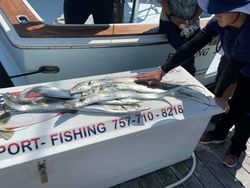 Virginia Fishing Trip. Caught our Needlefish limit