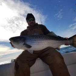 Striped bass caught by angler in Cape Charles