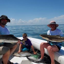 3 cobia fish caught in VA