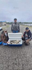 Fresh catch of fish displayed in cooler after successful fishing trip in Port Clinton OH