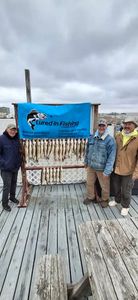 Fishing charter display board showing caught fish from Port Clinton OH trip