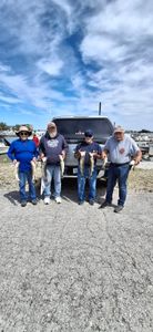 Successful fishing trip in Port Clinton OH with freshly caught fish displayed