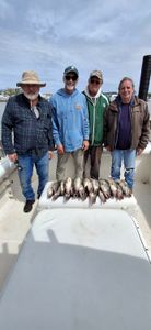 Successful fishing trip in Port Clinton OH with fresh catch displayed on boat deck