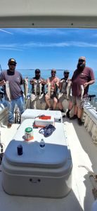 Successful walleye fishing trip on Lake Erie near Port Clinton Ohio with fresh caught fish displayed on boat deck