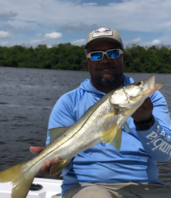 Snook, a big fish, caught while fishing in Bonita Springs