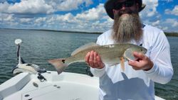 Redfish caught in FL