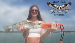 Spotted weakfish caught fishing in FL