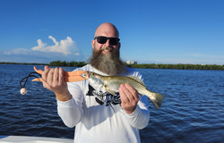 Spotted Weakfish caught in FL