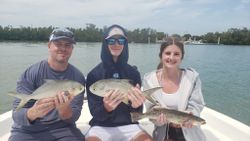 3 permit and spotted weakfish caught in FL