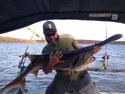 A large blue catfish caught in Wagoner