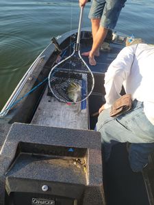 Fishing scene in OK