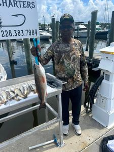 Redfish caught in Biloxi during fishing