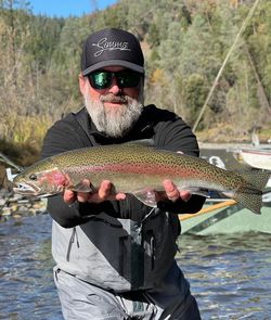Image of a rainbow trout, 20 inches long, caught while fishing in CA