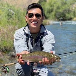 A single rainbow trout fish caught in Napa