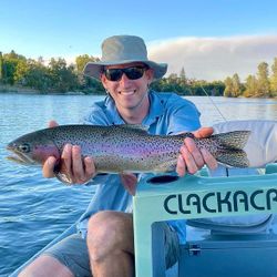 A rainbow trout caught fishing in Napa