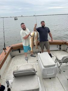 Sail into Serenity with Gulfport's Premier Fishing