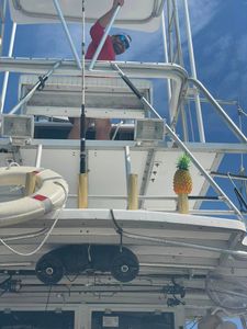 Set Sail for Fishing Bliss with Gulfport's Best!