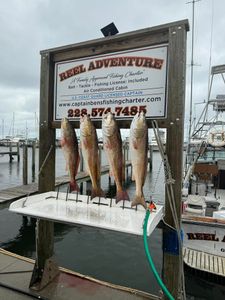 3 redfish caught in Gulfport during fishing trip