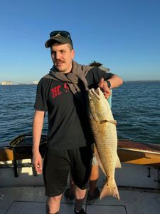 Angler with one big 23-inch fish in Gulfport