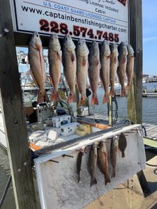 10 fish caught in MS while fishing