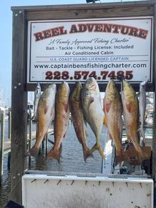 Four redfish caught in MS