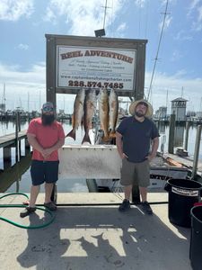 Four Redfish caught in MS on a fishing trip