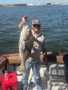 Angler holding a large black drum fish in Gulfport