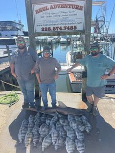 Successful fishing charter displaying catch of sandbar sharks at Gulfport MS marina