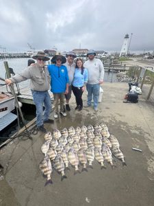 Large catch of sheepshead fish displayed on dock at Gulfport MS marina