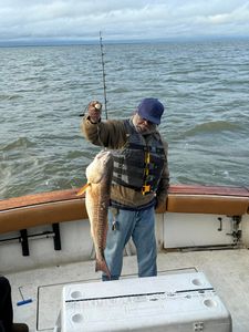 Fisherman with a big catch in Gulfport