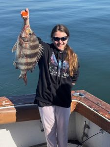 Sheepshead fish caught in MS