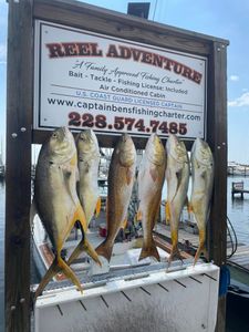 4 redfish caught in MS