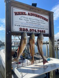 Redfish fishing in Gulfport