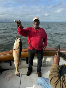 Redfish, 30 inches caught fishing in Gulfport