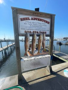 4 redfish and black drum caught in MS