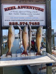 3 redfish caught in MS