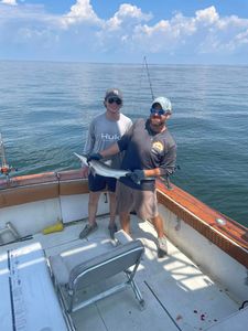 Two anglers with a single fishing rod in Gulfport