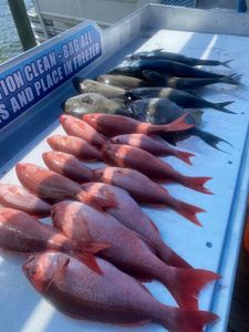 Hitting The Limit! Best Red Snapper fish and etc