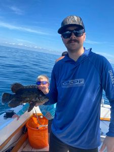 Black Grouper Fishing In Shalimar, Florida