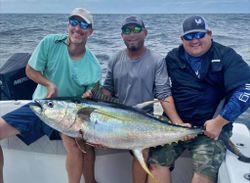 Blackfin tuna, a big fish caught at Shalimar