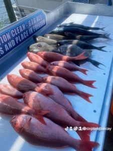 Two fish caught in Shalimar during a fishing trip