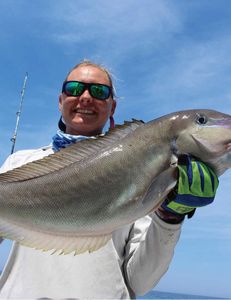 Angler catches big fish in FL