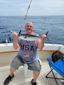 Little Tunny fish caught by a person in Shalimar