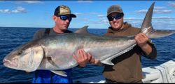 Longfin Yellowtail fish caught while fishing in FL
