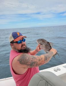 Proud catch of a grey triggerfish in Shalimar