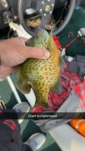Angler fishing in Fort Atkinson