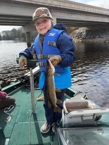 Northern pike catch on fishing boat in Fort Atkinson Wisconsin