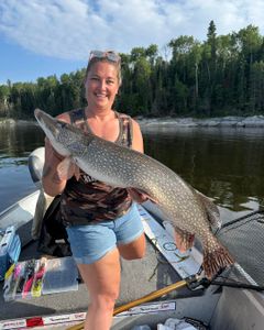 A single Northern Pike fish caught while fishing in WI